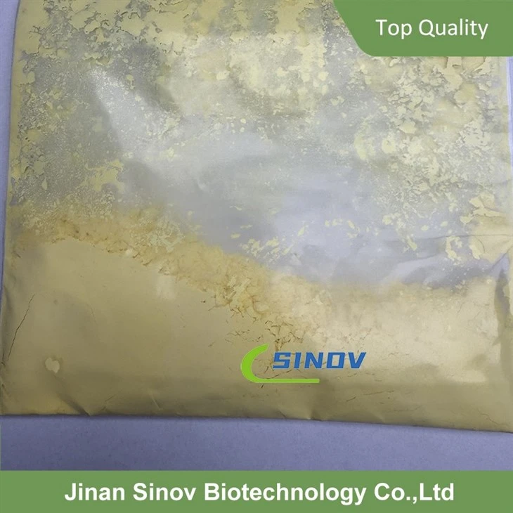 Glycyrrhiza Inflata Root Extract factory