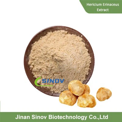 erinaceus erinaceus العضوي erinaceus مسحوق